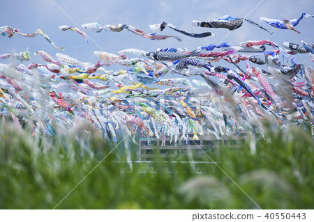 Koinobori Festa 1000 Koinobori Festa 1000 40550443