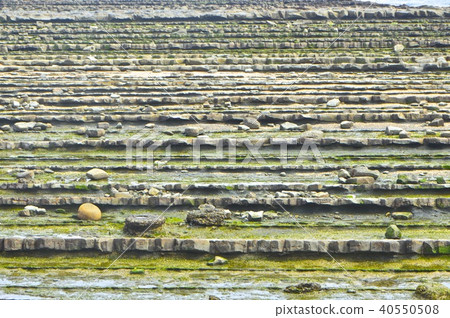 Demon's Laundry Rock (Qingdao Shrine / Miyazaki Prefecture Miyazaki City Qingdao) 40550508