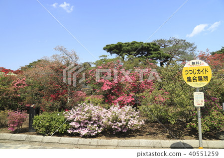 Azalea guide meeting place of Tatebayashi-shi azalea ga Oka park front open space 40551259