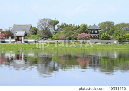 館林杜鵑花公園 約努馬和善長寺 照片素材 圖片 圖庫 館林杜鵑花公園 約努馬和善長寺 照片素材 圖片 圖庫
