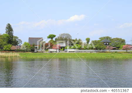 館林市杜鵑花公園，約努馬和禪喬吉鐘樓 40551367