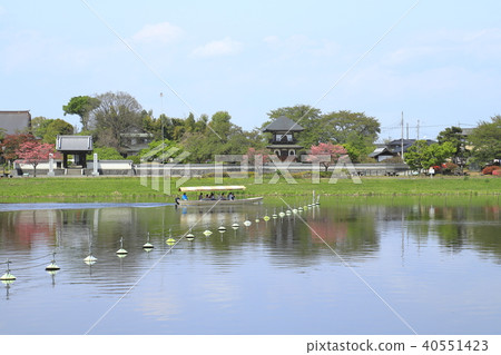 館林市杜鵑花公園、,沼的遊船和城樓以及禪宗寺 館林市杜鵑花公園、,沼的遊船和城樓以及禪宗寺 40551423