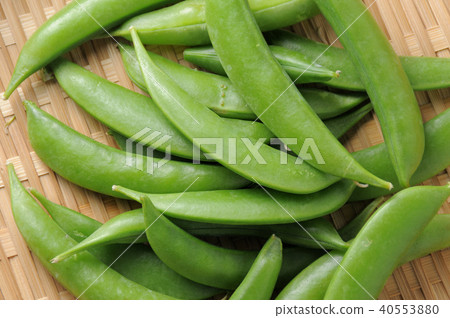 豌豆 豌豆 40553880