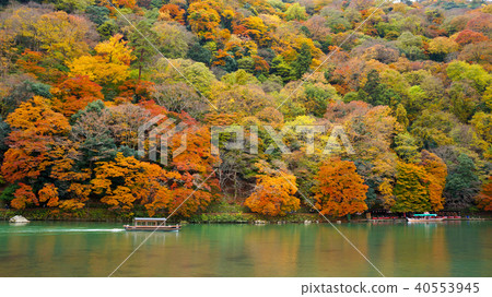 Kyoto Ogi Arashiyama Autumn leaves 40553945