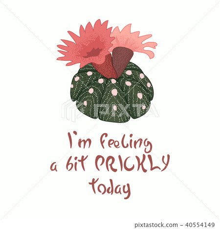 Message slogan I'm feeling a bit prickly today Message slogan I'm feeling a bit prickly today 40554149