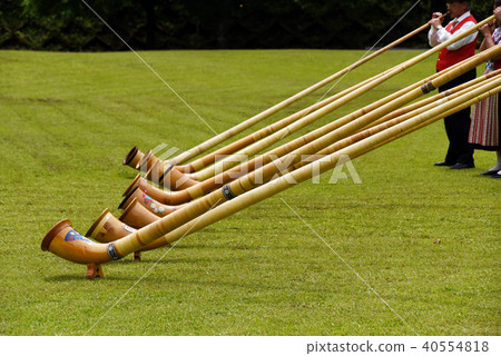 Alphorn Alphorn 40554818