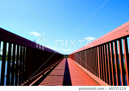 Sone marsh Sone marsh 40555129