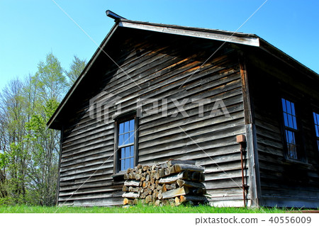 A row of firewood for winter heating 40556009