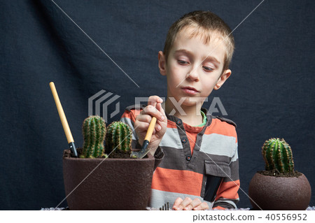 little boy set down his houseplant cactus little boy set down his houseplant cactus 40556952