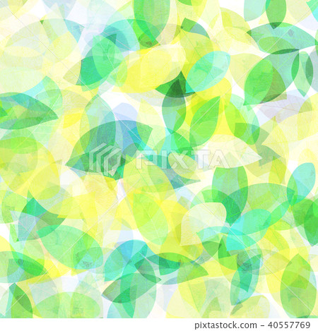 Leaky Leaf Texture Background Material Leaky Leaf Texture Background Material 40557769