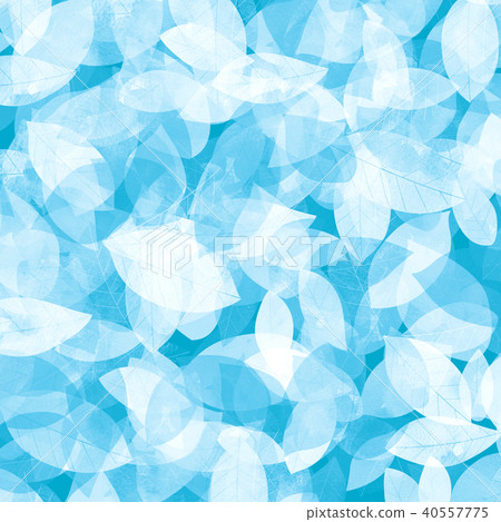 Leaky Leaf Texture Background Material Leaky Leaf Texture Background Material 40557775
