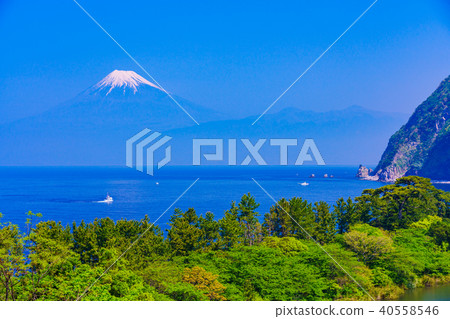 (Shizuoka Prefecture) Fresh green west Izu Ida Mt. Fuji over the sea (Shizuoka Prefecture) Fresh green west Izu Ida Mt. Fuji over the sea 40558546