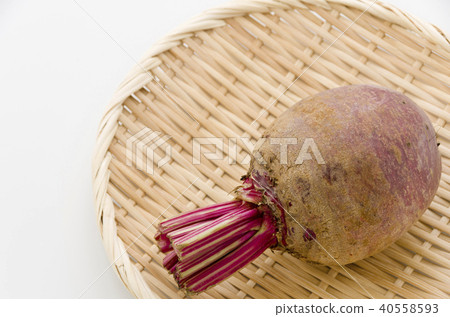 節拍 節拍 40558593