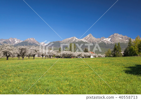 High Tatras during spring time in Slovakia 40558713
