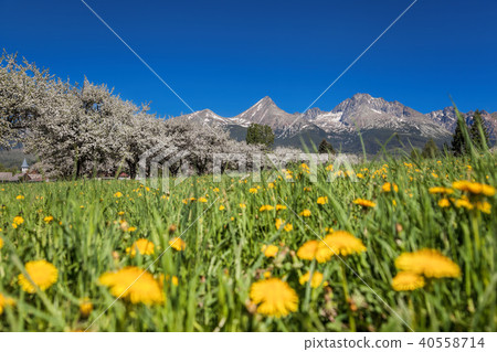 High Tatras during spring time in Slovakia 40558714