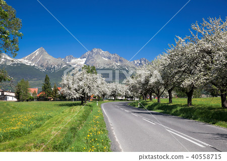 High Tatras during spring time in Slovakia 40558715