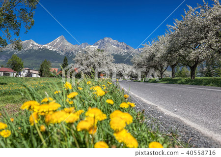 High Tatras during spring time in Slovakia 40558716