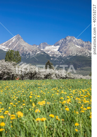 High Tatras during spring time in Slovakia 40558717
