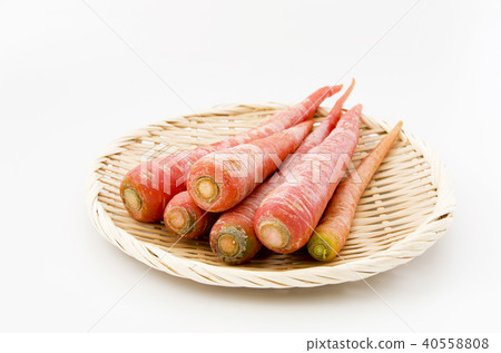 金參 金參 40558808