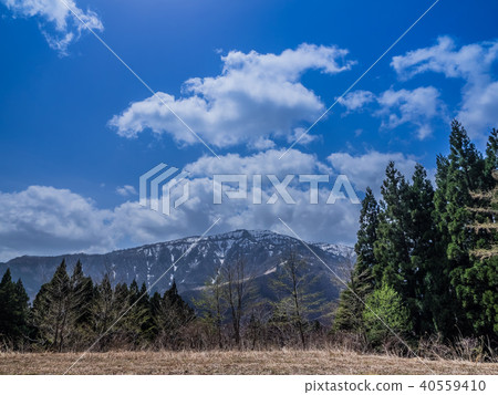 Snowy ice mountain 40559410