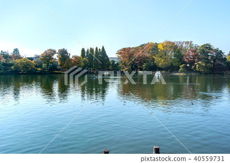 Shimosuke Park 40559731