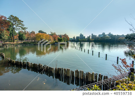 Shimosuke Park 40559738