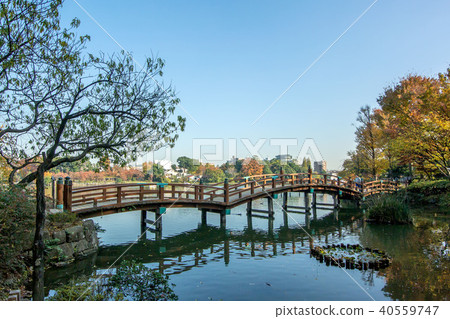 Washokuike Park in Minamisenzoku, Ota-ku, Tokyo Washokuike Park in Minamisenzoku, Ota-ku, Tokyo 40559747