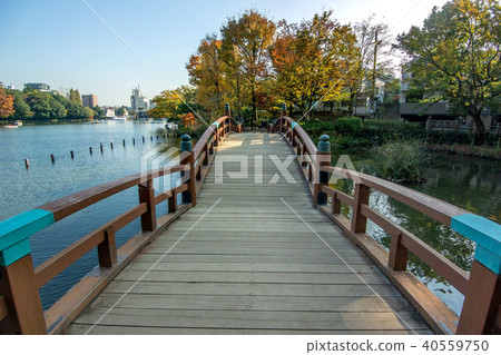 東京都大田區南泉足的Washokuike公園 40559750