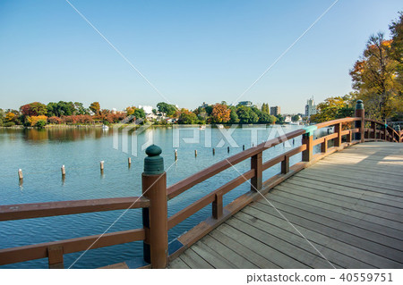 Shimosuke公園 40559751