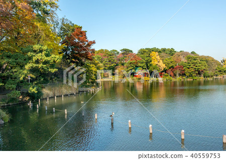 Shimosuke公園 Shimosuke公園 40559753