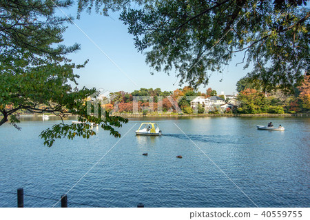 東京大田區和食池公園 東京大田區和食池公園 40559755