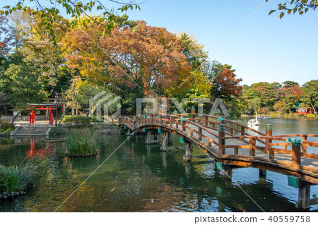 Washokuike Park in Minamisenzoku, Ota-ku, Tokyo 40559758
