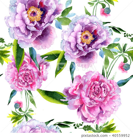 Wildflower peony pink flower pattern in a watercolor style. Wildflower peony pink flower pattern in a watercolor style. 40559952