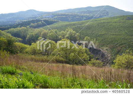 Akiyoshidai Nagareki Uvale 40560528