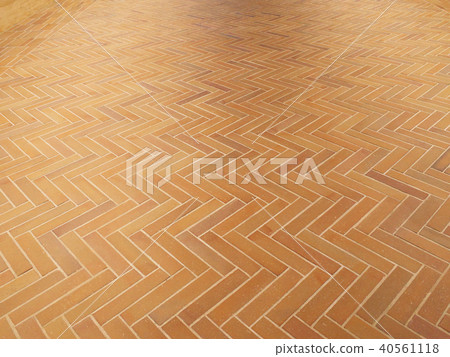 Tile 40561118