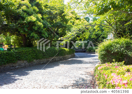 Gardens around Iidabashi Station Gardens around Iidabashi Station 40561398
