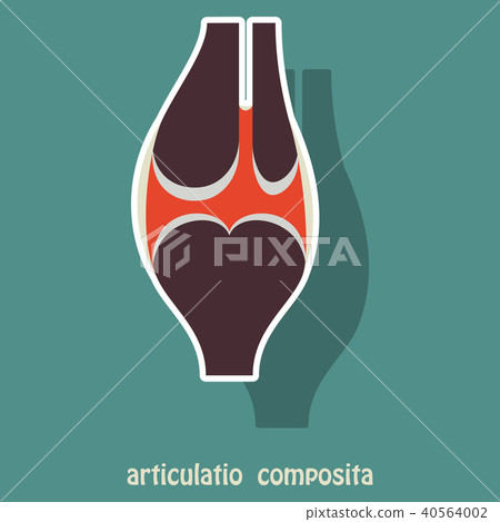Knee joint health care icon sticker Knee joint health care icon sticker 40564002
