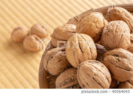 Walnut Sinanogumi 40564043