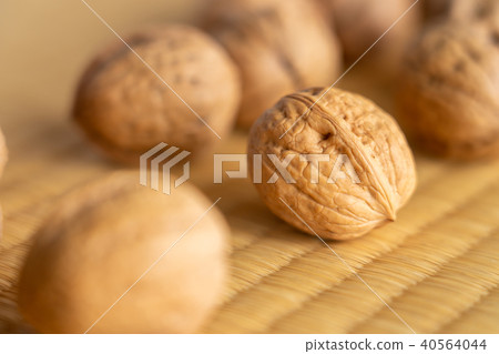 Walnut Sinanogumi Walnut Sinanogumi 40564044