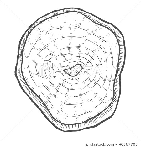 Hand drawn illustration Hand drawn illustration 40567705