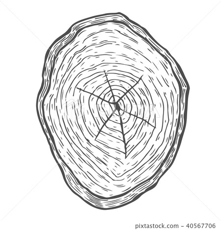 Hand drawn illustration 40567706