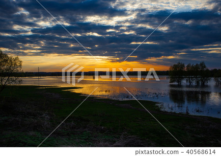 Sunset on the river with three trees on Desna river in springtime, Ukraine. Sunset on the river with three trees on Desna river in springtime, Ukraine. 40568614