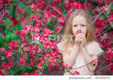 Adorable little girl enjoying spring day in apple blooming garden 40569055