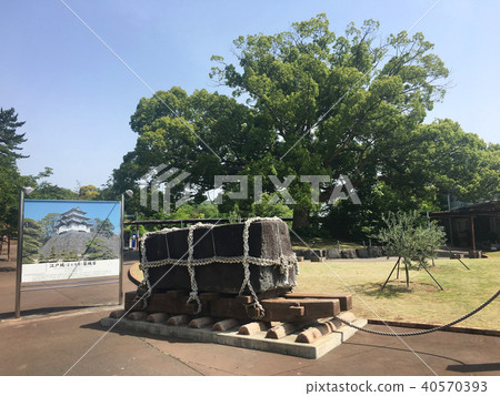 靜岡縣伊東市伊豆高原站 靜岡縣伊東市伊豆高原站 40570393