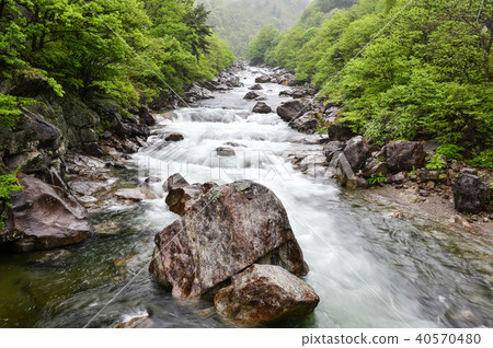 Ishin Valley，Jirisan，Hadong-gun，Gyeongnam 40570480