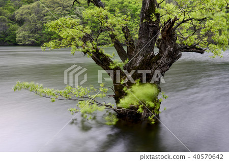 Wangbull，主要省，Juwangsan，浮動土地，Cheongsong-gun，Gyeongbuk 40570642