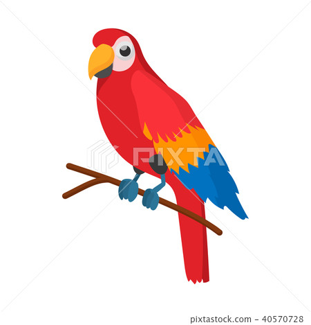 Red brazil parrot icon, cartoon style Red brazil parrot icon, cartoon style 40570728