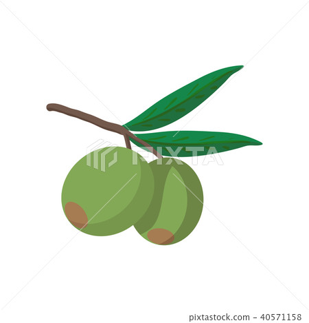 Olives on branch with leaves icon, cartoon style Olives on branch with leaves icon, cartoon style 40571158