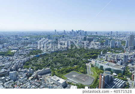 東京風景，藍天和綠色，2018，新宿，青山，原宿 40571528