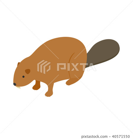 Beaver icon, isometric 3d style 40571550